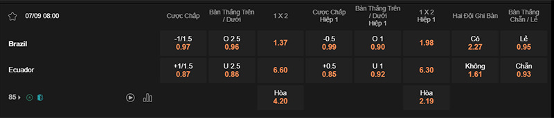 ti-le-keo-tran-brazil-vs-ecuador