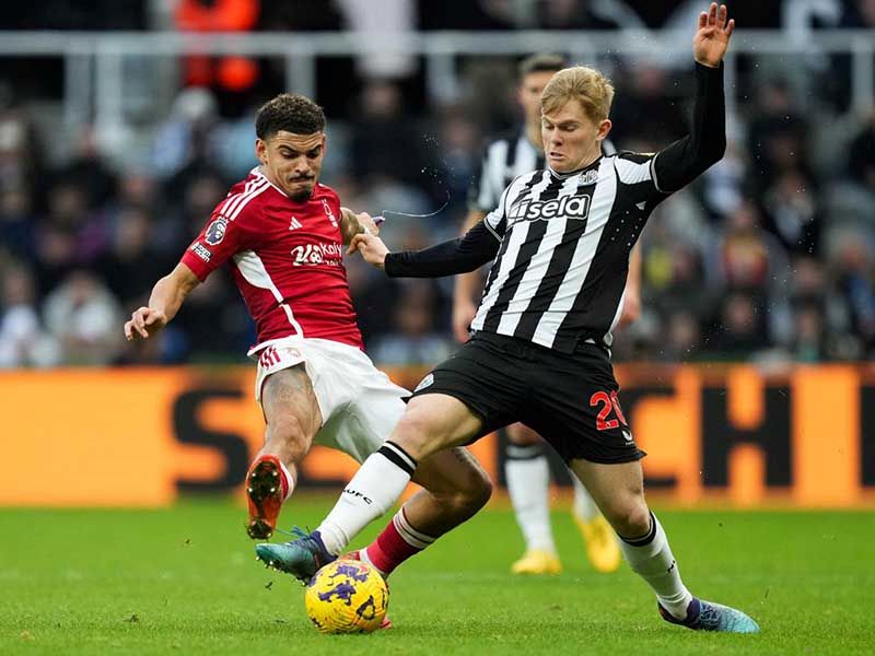 Nhận định soi kèo Nottingham Forest vs Newcastle lúc 21h00 ngày 10/11/2024